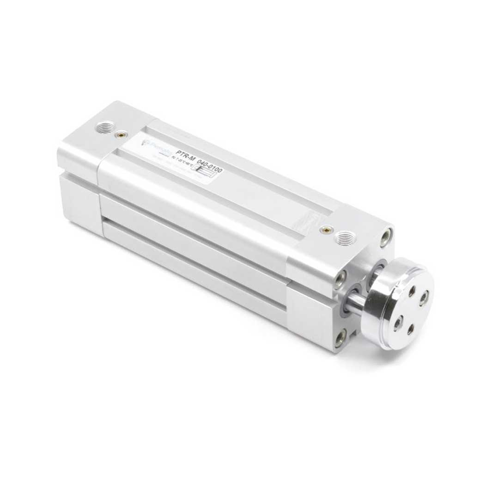 Двухштоковый пневмоцилиндр PTRM-100-050 Pemaks