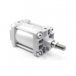 Пневмоцилиндр PMBYA-125-200-M2(M20x2.5) Pemaks